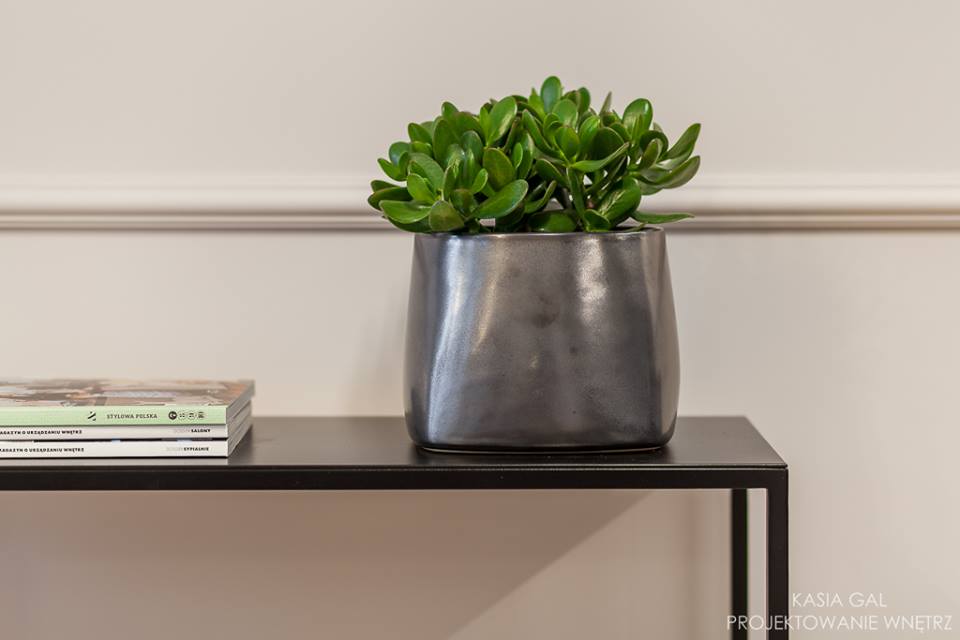 24131458_1649768888395438_918222302930928872_n